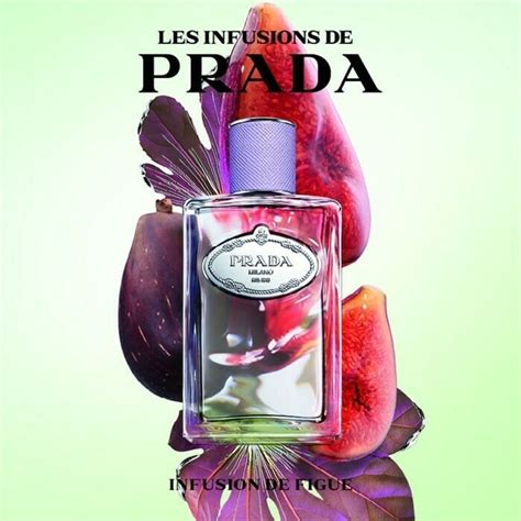 infusion figue prada|Infusion de Figue Prada for women and men.